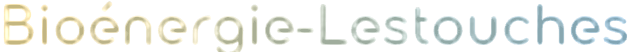Logo MBM